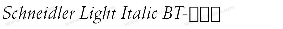 Schneidler Light Italic BT字体转换